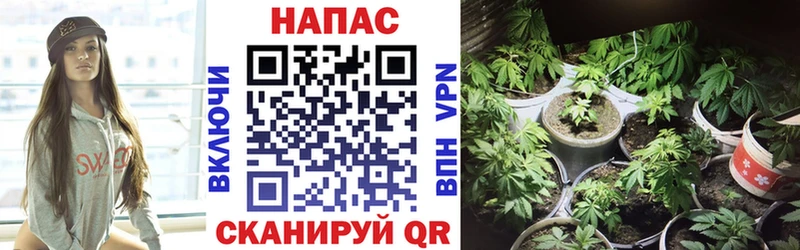 mega сайт Еманжелинск Марихуана семена